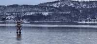 https://images.plurk.com/21V2wWACOYDa8odP0K43Ac.jpg