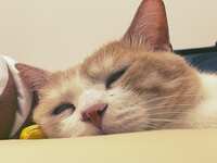 https://images.plurk.com/21XrOJf5VmgWdZntkZnSmU.jpg