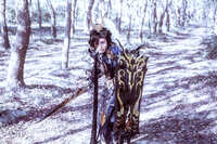 https://images.plurk.com/21dPtk8ajwhBbiS9Rt19zG.jpg
