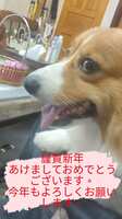 https://images.plurk.com/21pvB0eyVr2JVd2jHnIJLw.jpg