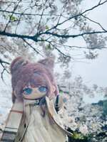 https://images.plurk.com/21tw1D4P8l0gSE0TXS5LMF.jpg