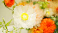 https://images.plurk.com/21x1BIAf3EK2WnqgL87jqA.jpg
