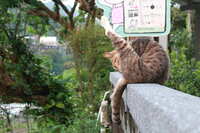https://images.plurk.com/226uShByz7iRb7Rw88UD6p.jpg