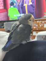 https://images.plurk.com/227RoseZwtGTJjgouB2Dzn.jpg