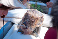 https://images.plurk.com/22Di30UphKjSdp6KA55b1K.jpg