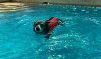 https://images.plurk.com/22FiRcypupyMLwK4xBcmkT.jpg