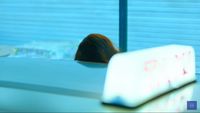 https://images.plurk.com/22Mutrmwwaj4QphbqkRtMT.png