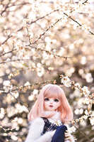 https://images.plurk.com/22O33oP9ts27mA43Nw42rZ.jpg
