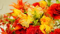 https://images.plurk.com/22PmnVLSx4d6pEUXRCR8ZS.jpg
