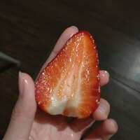 https://images.plurk.com/22VOWni8LOwhkcQeLTIglI.jpg