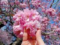 https://images.plurk.com/22dvhv3aItmSDSJn8wxe1D.jpg