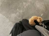 https://images.plurk.com/22l9djHt8kdCt9Js8rXOAE.jpg