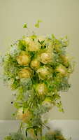 https://images.plurk.com/236Ro4vGp9dOhzPgtdn5cL.jpg