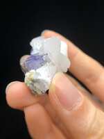 https://images.plurk.com/238c6JjssnRC6jhpUNqWdW.jpg