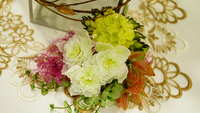 https://images.plurk.com/23BwPBEynihX5SOP6AGZ9c.jpg