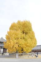 https://images.plurk.com/23IPITQkratAdaGh7ufbQr.jpg
