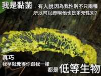 https://images.plurk.com/23UHshv3189MNQQPxNmAnX.jpg