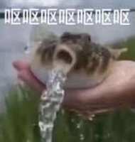 https://images.plurk.com/23WW7pYCWhVgO6DTWN81rA.jpg