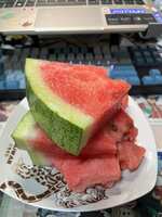 https://images.plurk.com/23YCaF00w8ooloXyPJocwy.jpg
