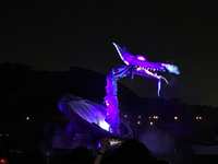 https://images.plurk.com/23a9z0r4hrccnlCm1xdMbk.jpg
