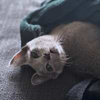 https://images.plurk.com/23dem2GLyiGvQHQSNJIgHG.jpg