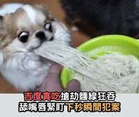https://images.plurk.com/23eupiNWHBGikLQnuGN3l0.jpg