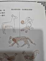 https://images.plurk.com/23ev9n8EZobgknc49SoaXQ.png