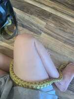 https://images.plurk.com/23nURKxumGZS9FtSIhJdNT.jpg