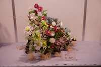 https://images.plurk.com/23riBDXxgO1lQgKa8tFiD4.jpg