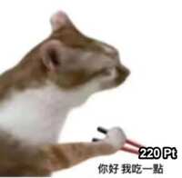 https://images.plurk.com/244MsdtDbO0XiHBRbsnLIM.png