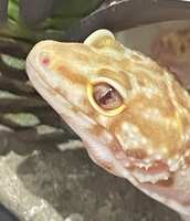 https://images.plurk.com/249TdZpEJZcBRmsuCUMLdU.jpg