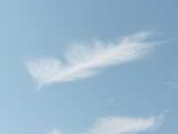 https://images.plurk.com/24Cbi9ZcCUDJgPKgMRDMfu.jpg