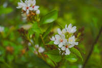 https://images.plurk.com/24Jw3HZC7ORjlLTR1FQwkR.jpg