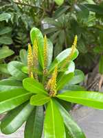 https://images.plurk.com/24TorBpjYzMFqCv7TXHWfj.jpg