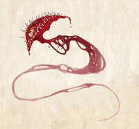https://images.plurk.com/24fSdCZvK3JaoqtuSioBmf.jpg