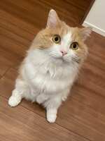 https://images.plurk.com/24lGWR784qm0QwV3pQVOCX.jpg