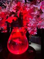 https://images.plurk.com/24mIikNtQ2OyFO6HBxXMNq.jpg