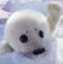 https://images.plurk.com/24mTeMmEN4TzEcX6tE66w6.png