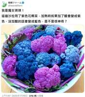 https://images.plurk.com/24nlAUQenn3RqUK6IiX6c5.jpg