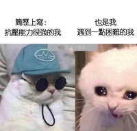 https://images.plurk.com/24rdrJ651RKeJW1hzFj2D1.jpg