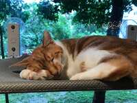 https://images.plurk.com/24vSDebCRYYNMExkC5RSp4.jpg