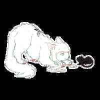 https://images.plurk.com/24zl0QtEMhnsuv1dn0sXYV.png