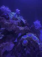 https://images.plurk.com/2534Q2ngLv7dUNCSnv75ZG.jpg