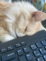 https://images.plurk.com/256UoV9bA40BOj1LWY7yHf.jpg