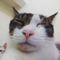 https://images.plurk.com/258BUcNeJko2vyXh2as2OU.jpg