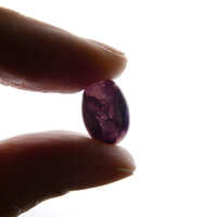 https://images.plurk.com/2594LnbmyrHX628601UAgF.jpg