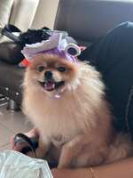 https://images.plurk.com/25Gq5Zj0UBzBlhhBjnxUis.jpg