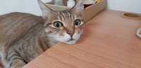 https://images.plurk.com/25J1DYIrCTfTcVFuUj0jSq.jpg