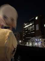 https://images.plurk.com/25SK64460sRH9TWy7OC4Uu.jpg