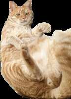 https://images.plurk.com/25bPCCaGMzVjvZSWR8zHiv.png